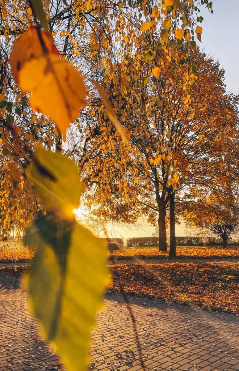 Autumn in my city❤️
#autumn #belarus #mogilev #mohiley #sunday