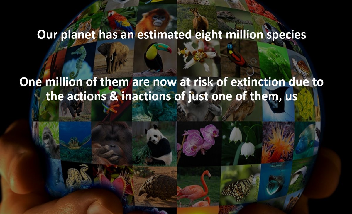 'Why Does Biodiversity Matter to All of Us?' Looking forward to presenting on this important topic <a href="/lesroches_en/">Les Roches Marbella</a> 'ShiftIn' 2022' on 16 November:
👉 Register: fal.cn/3tiud
👉 More about ShiftIn': fal.cn/3tiuc
#Biodiversity #Innovation #Nature #Sustainability