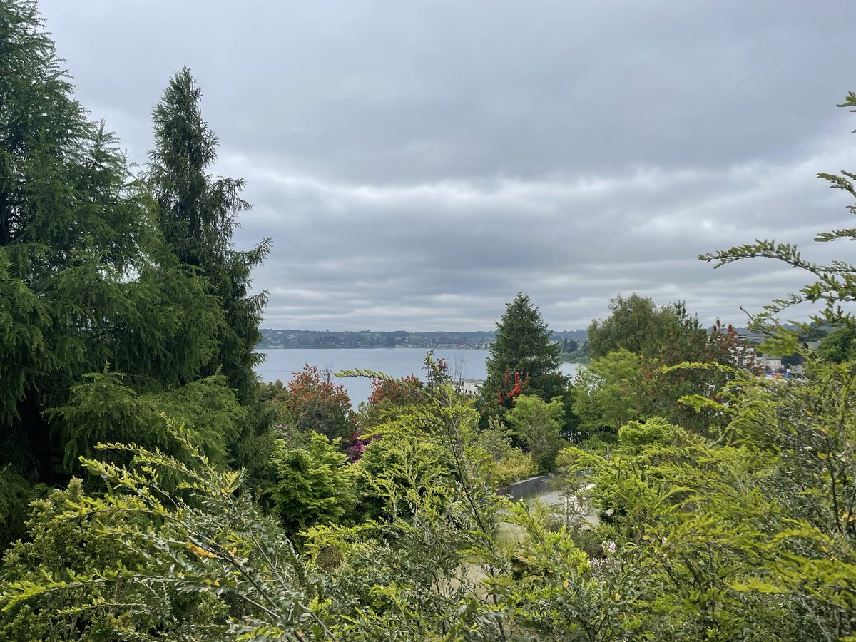 Partiendo nuestro congreso en Puerto Varas! #SCHU2022
<a href="/dr_enriqueelias/">Enrique Elías Echaurren</a> <a href="/DrFmarchantUro/">fmarchantg</a> <a href="/sguzmank/">Sergio Guzman</a> <a href="/LuisEbel1/">Luis Ebel</a> <a href="/bvivaldi/">Bruno Vivaldi</a> <a href="/Urolchi/">Sociedad Chilena de Urología</a>