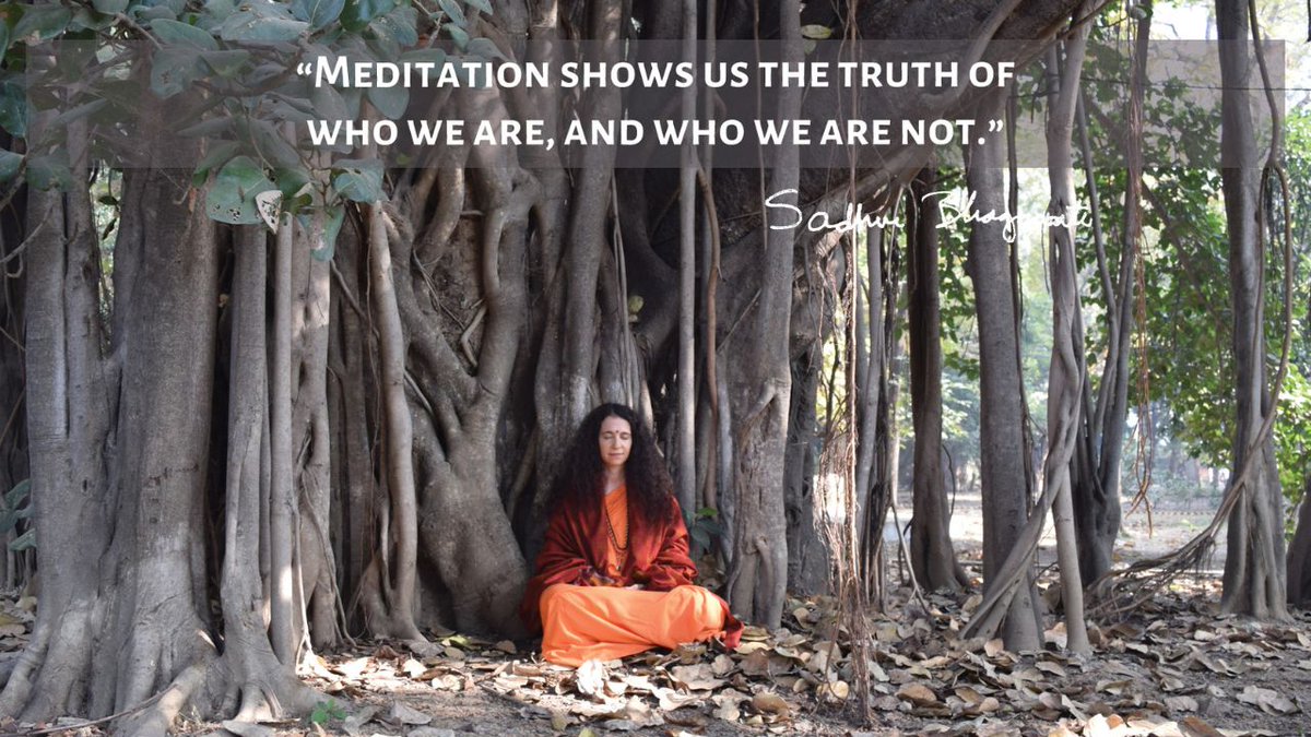 SadhviBhagawati's tweet photo. "Meditation shows the truth of who we are and who we are not." Sadhvi Bhagawati Saraswati
#meditation #IAM #netineti #WisdomWednesday https://t.co/VZVVc6JF8D