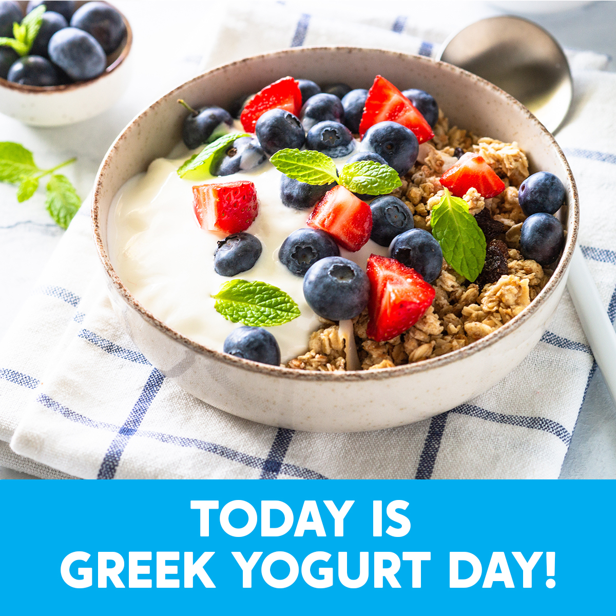 Celebrate with our smooth, creamy, and delicious Greek yogurt—it’s perfect in parfaits, as an ingredient or on its own.