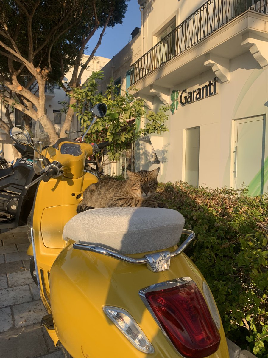 Keyifcilikkk 🙈💛🛵