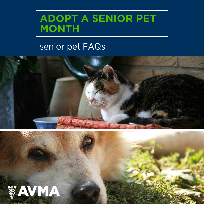 Tweet by AVMA (American Veterinary Medical Association)