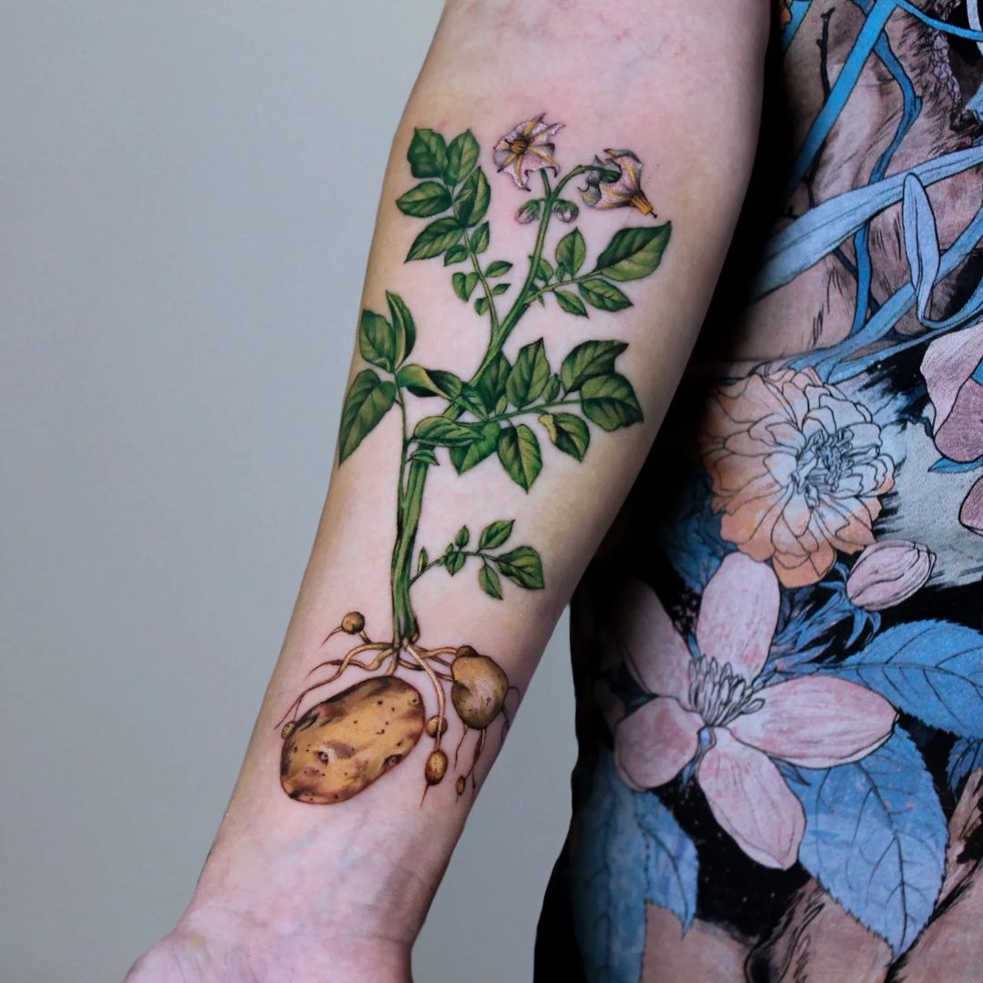 Inked on Twitter "Absolutely love this potato plant by myszata_tattoo
