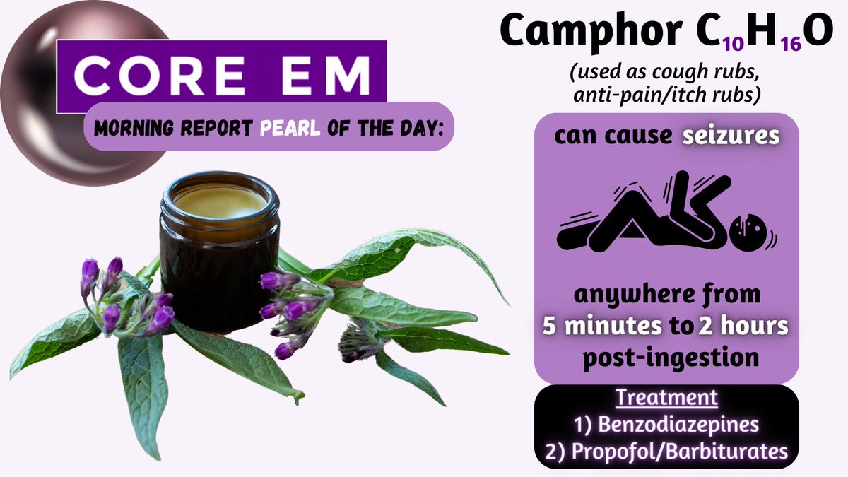 Rubbing camphor on your chest may help ease a cough, but ingesting it can lead to dangerous neurological instability. 

Credit: Dr. Aaron Bola 

#MedTwitter #medicine #emergencymedicine