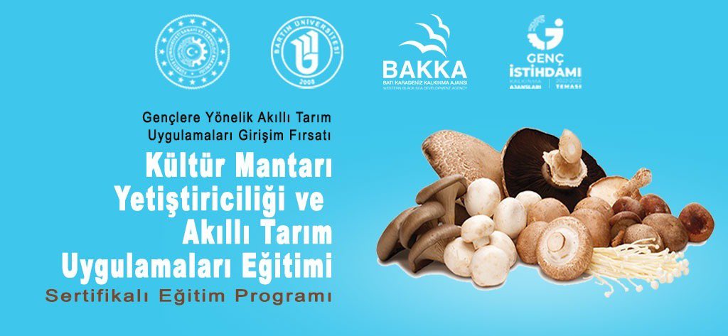 tcbartinvalilik's tweet photo. BAKKA Genç İstihdamı Teması Kırsal İstihdamı Artırma Programı

https://t.co/BX4lkkr6RI https://t.co/SKMAbXYIyp