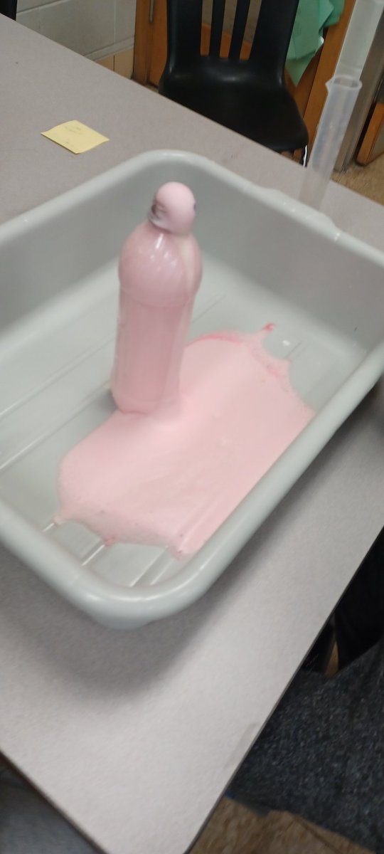 Fifth grade exploring chemical reactions using yeast as a catalyst for elephant toothpaste. <a href="/LindberghSchool/">Lindbergh Elementary</a>