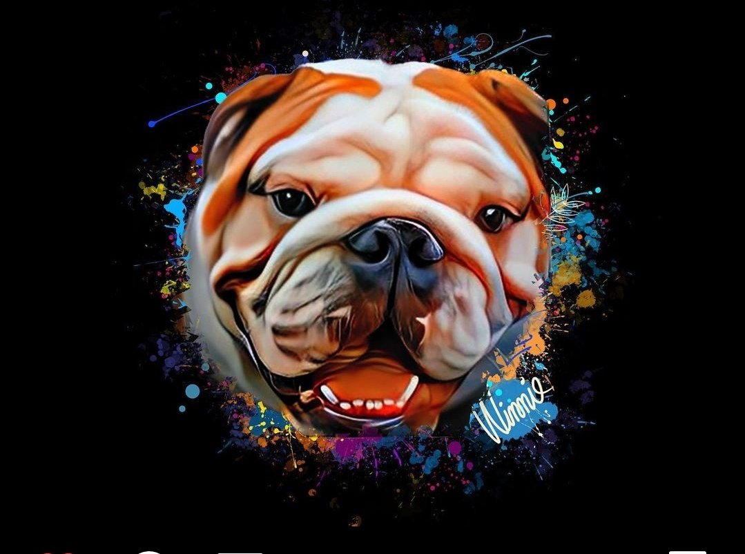 ColorfulPawz's tweet photo. Winnie❤️ #DogsOnTwitter #dogsoftwitter #Bulldogs #Bulldogsoftwitter #Bulldog #Bulldogpappies #bulldoglover https://t.co/MMSPHzXo3A