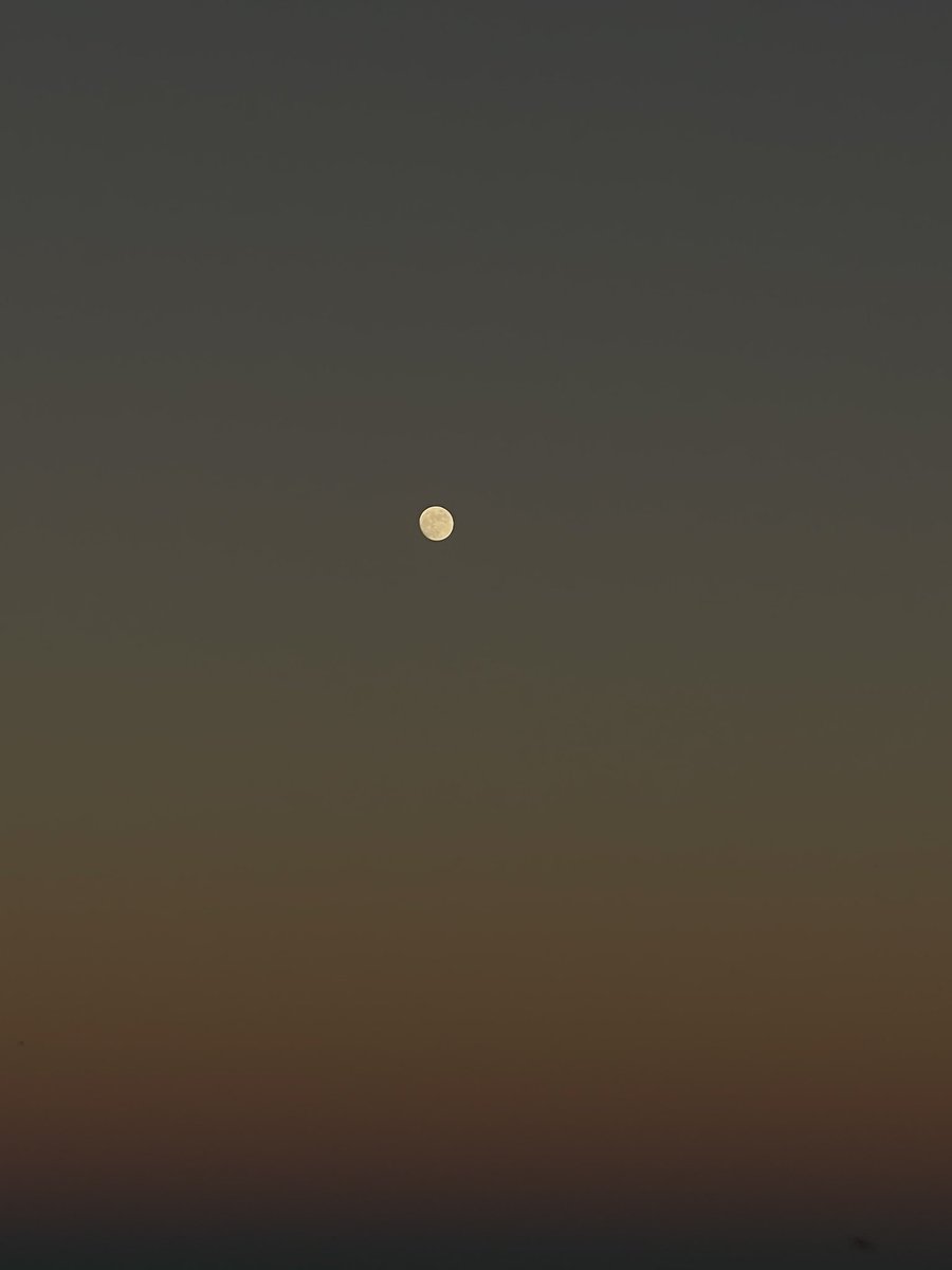 Octavio_GM's tweet photo. Luna de sangre en Durango #lunareclipse2022 #FelizMiercoles #durangomx https://t.co/lzR4FkFshC