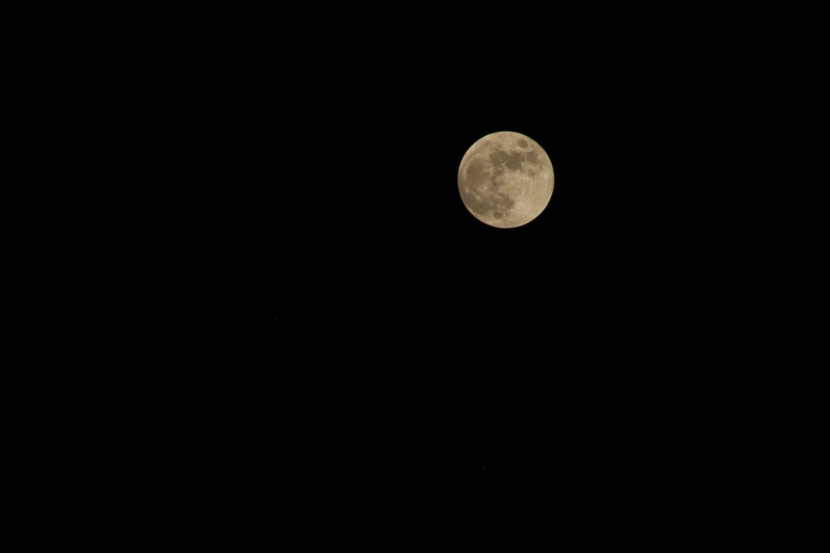 Octavio_GM's tweet photo. Luna de sangre en Durango #lunareclipse2022 #FelizMiercoles #durangomx https://t.co/lzR4FkFshC