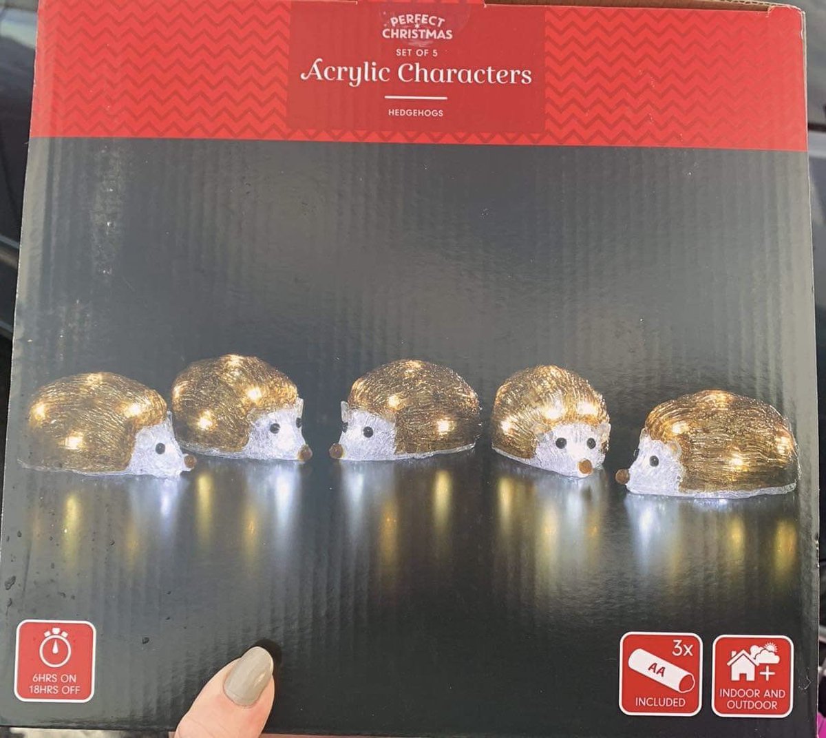 Wilson_SarahJ's tweet photo. It’s never too early for Christmas when there’s hedgehogs involved! #Hedgehogs #Christmas https://t.co/n1wQQHuNn1