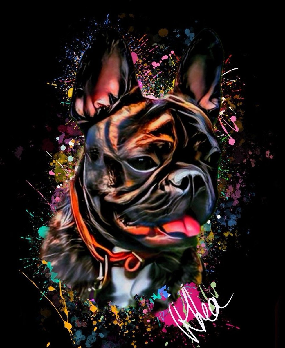 ColorfulPawz's tweet photo. Rhea❤️ #DogsOnTwitter #dogs #frenchbulldog #frenchielover #Frenchie #frenchbulldogs #pets #cute #dogstagram https://t.co/PfSB5eX9YK