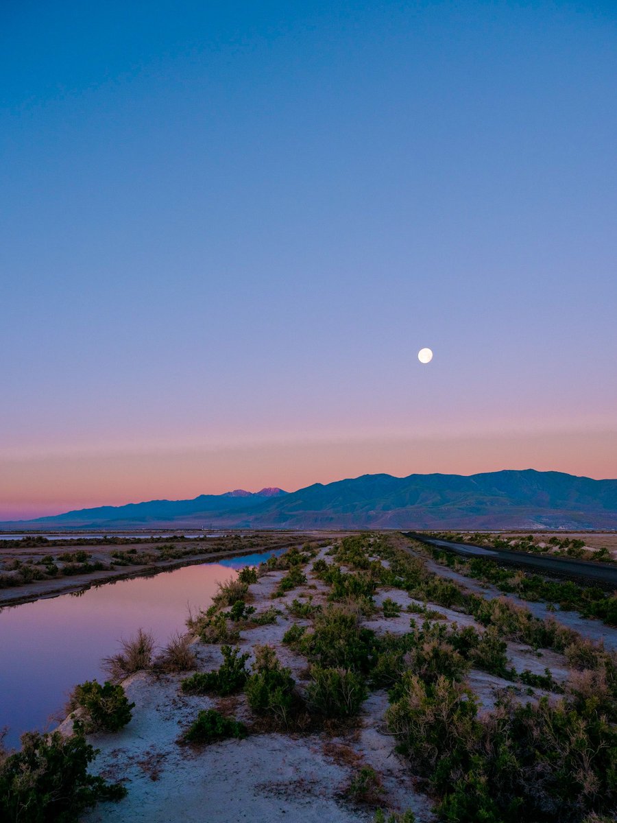 Nevin Johnson tweet media