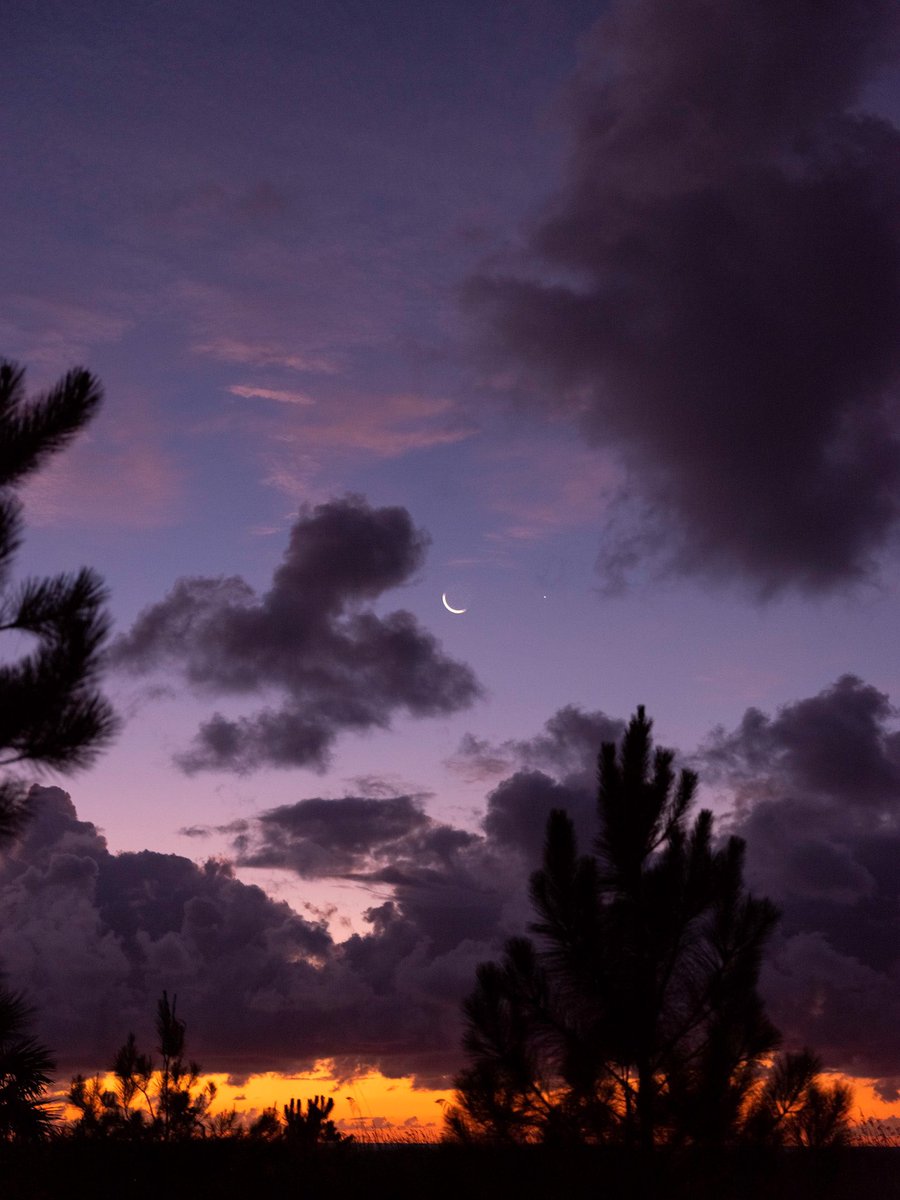 Nevin Johnson tweet media