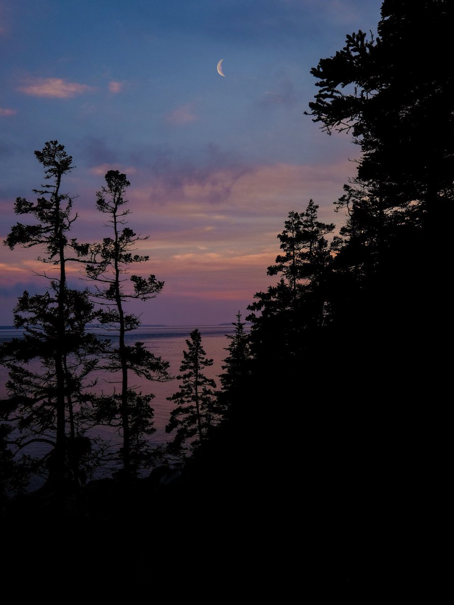 Nevin Johnson tweet media