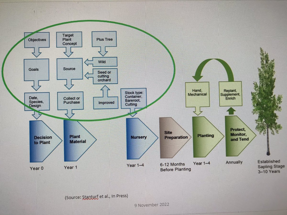 “There’s big support for #tree planting activities - but many initiatives fail, leading to “phantom #forests”. Very importantly we need systematic long-term #forest monitoring and stakeholder #participation - it’s not just buying seedlings at the store” says J. Stanturf <a href="/IUFRO/">IUFRO</a>