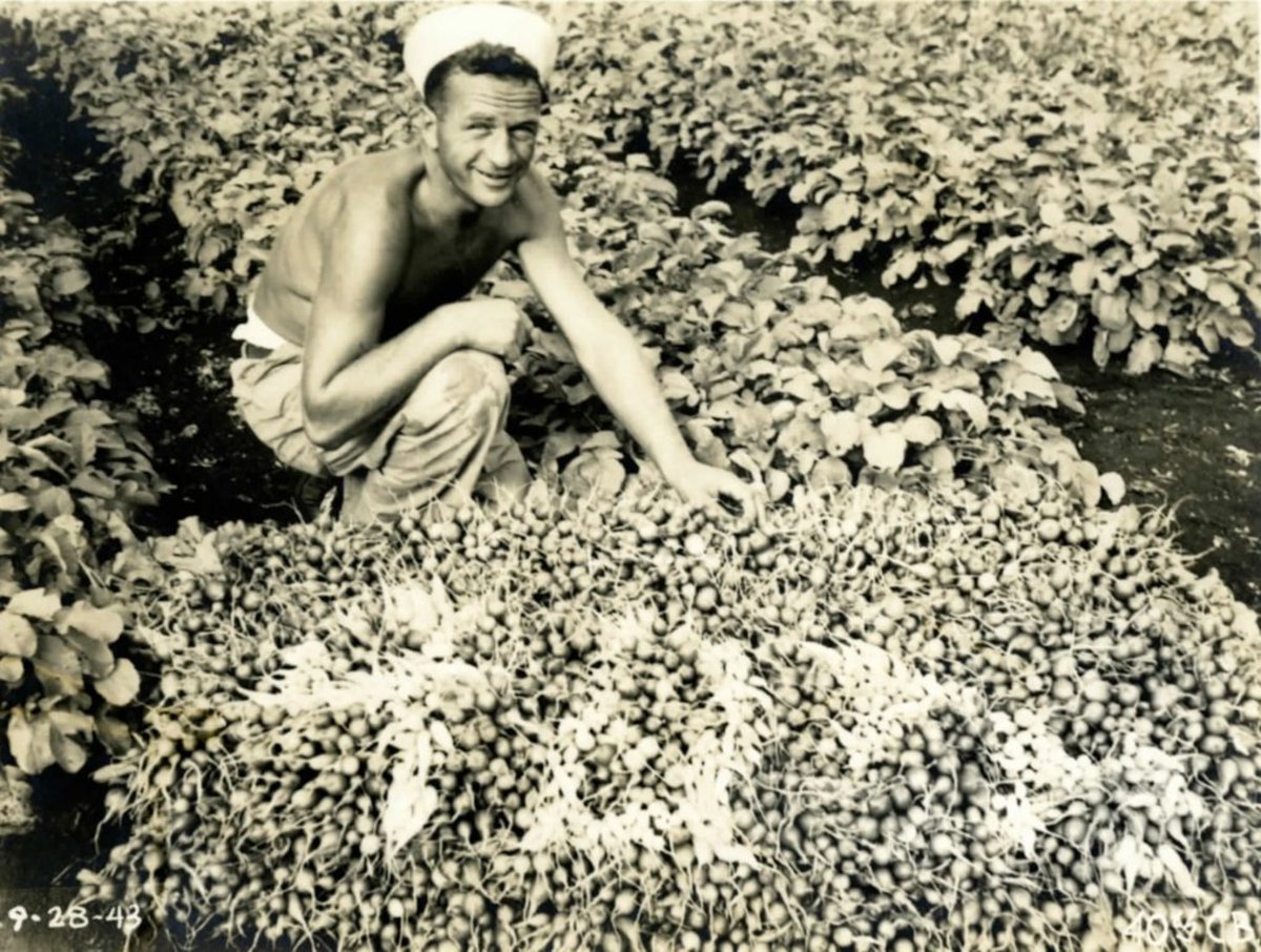 navysteminterns's tweet photo. Around 3.6 million U.S. service men and women throughout the Pacific in World War II needed daily meals, including fresh fruits and vegetables. After shipping seeds, plows, and cultivators they began farming. Read more: https://t.co/48DLGyGecd #Navy #NavalHistory #USNavy https://t.co/XaCZGBvtBn