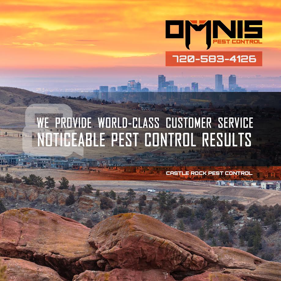 omnis_pest's tweet photo. We are a locally owned and operated company out of Castle Rock,Colorado. The company started in 2013 by company owner Bryce Wardell. Choose Omnis Pest Control to keep you pest free! More Protection, More Peace of Mind🕷️ https://t.co/pmVyGXRmFW