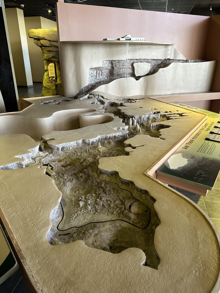 David Sinclair tweet media