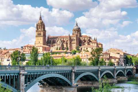 Eva46653369's tweet photo. Looking forward to give my talk next week at the Instituto de Biología Molecular y Celular del Cáncer #IBMCC #Salamanca 
@CICancer_com @usal 
and meeting many colleagues there @PeredaLab @XRBustelo https://t.co/NgJFTE74Br