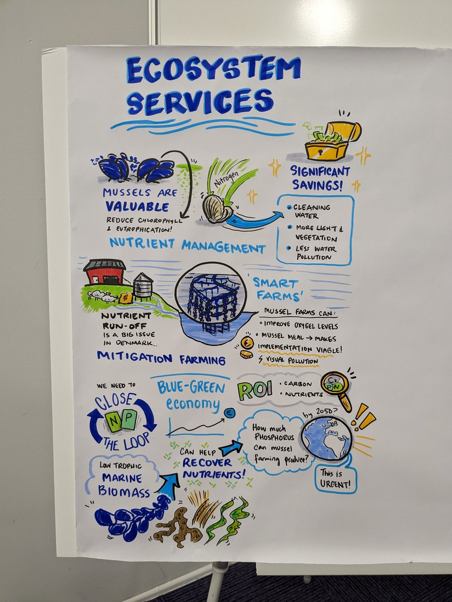 Absolutely brilliant session of #ecosystem services at the <a href="/shellfishcentre/">The Shellfish Centre</a> conference captured beautifully by @_auralab 

#aquaculture #nutrientmanagement