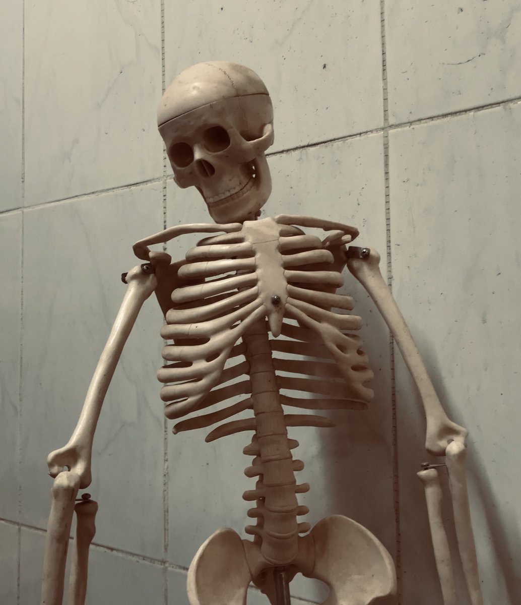 ayo_galaxy's tweet photo. Mr. Skeleton says hello👋 https://t.co/CI932YEJ1k