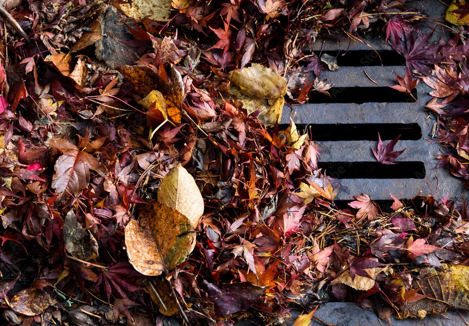 There's potential for heavy rains this week due to Tropical Storm Nicole. That, combined with all the leaves, isn't a good combo. It would be a good idea to check your gutters and storm drains in the street to ensure they're clear and able to move water. #ncwx #catcowx