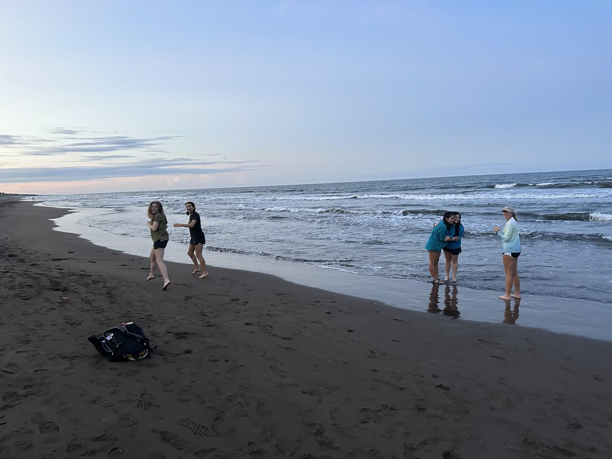 JeezMrGarnett's tweet photo. Day Two in Tortuguero done, Day Three In Tortuguero starts! 🦇 🦅 🐢 🐸 #EcoSlay https://t.co/xNoDAFeQ4c