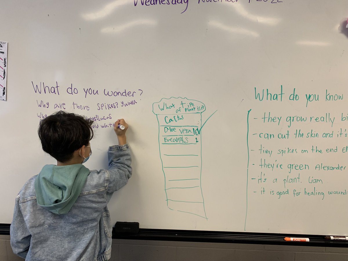 Curiosity in Room 7 tweet media