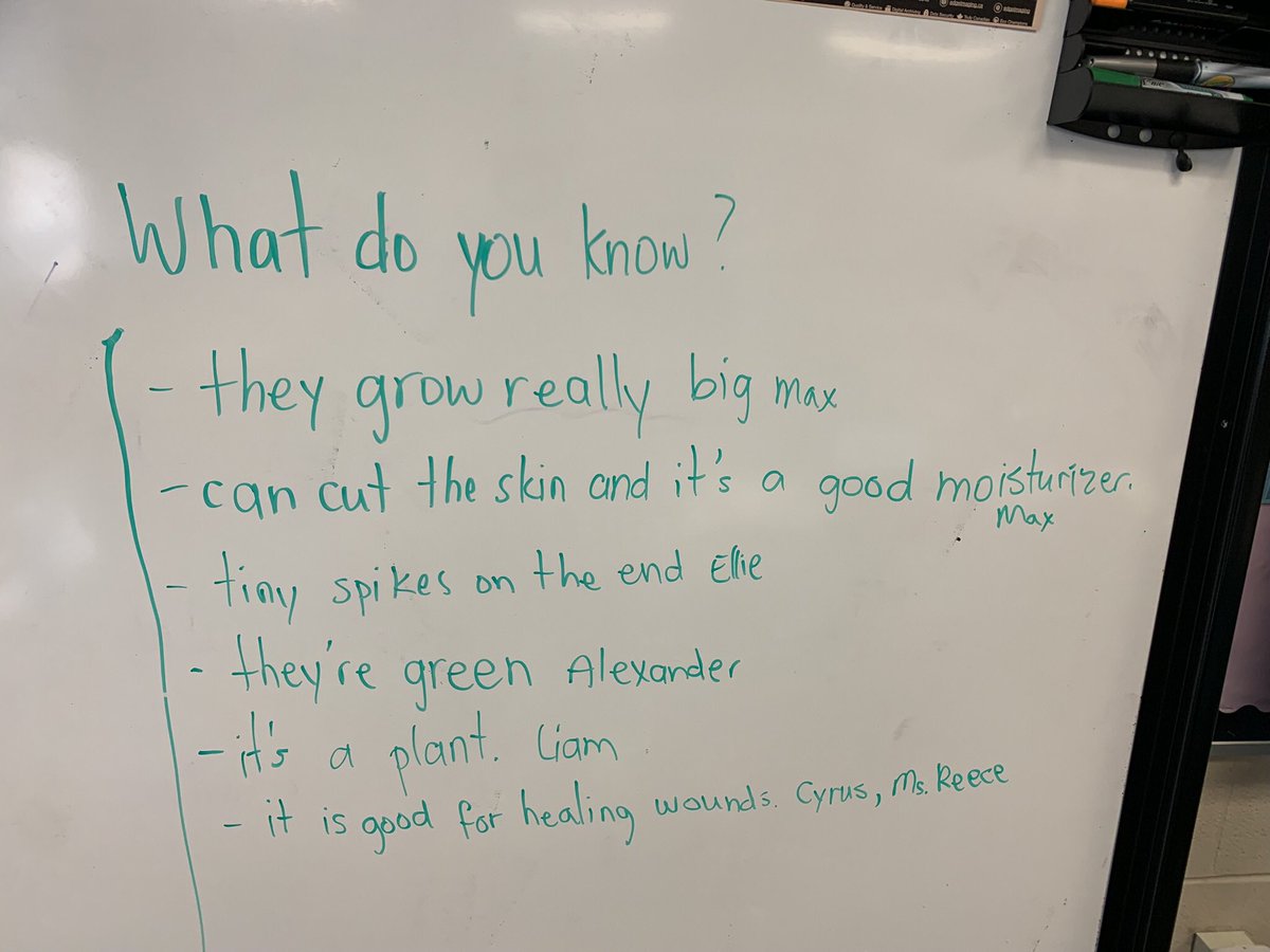 Curiosity in Room 7 tweet media