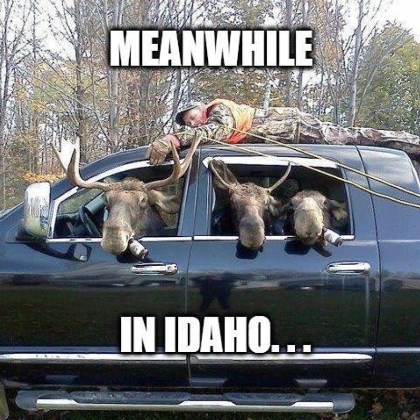 Tagged out ✅

(Meme from That Idaho Life)
#onlyinidaho #idaho #huntingseason #meme #funny