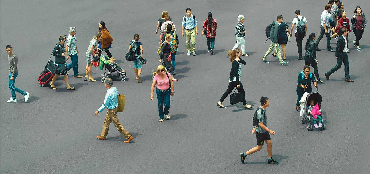 Paradigm Learning tweet media