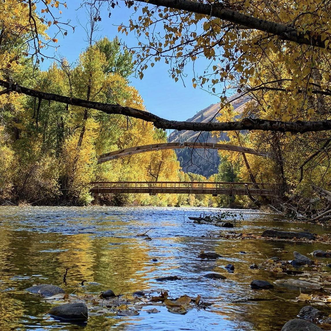 Swipe to see the one-of-a-kind, Bow Bridge at Big Wood River. 🏹

📸: deedle_005
#onlyinidaho #idaho #bowbridge #bigwoodriver #architecture