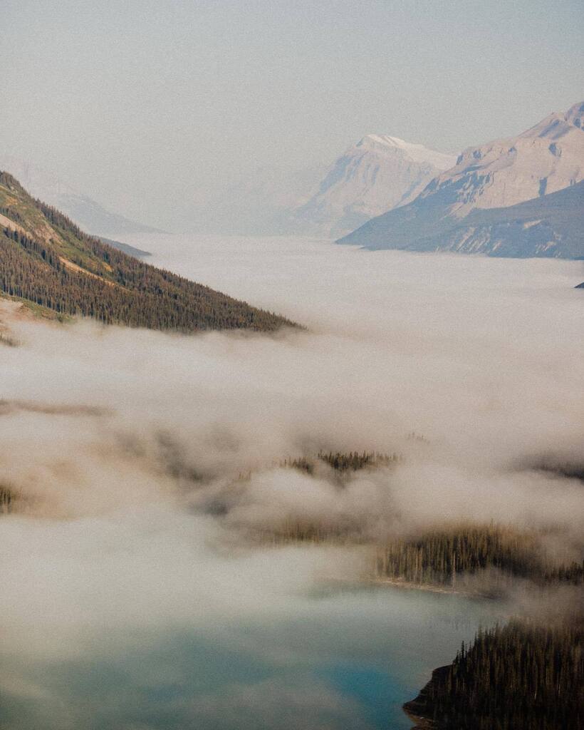 LaMouetteF's tweet photo. Sea of clouds ☁️ (ai-je réussi à venir à bout de mes 3314 photos ? La réponse est oui, high-five à moi-même ! ✋)
.
.
.
#canadianrockies #explorerockies #ontheroad #explorecanada #albertaviews #roadslikethese #worldthroughmylens #heartsofcanada #peyto… https://t.co/INkP9IT7n3 https://t.co/mFEgh09CNg