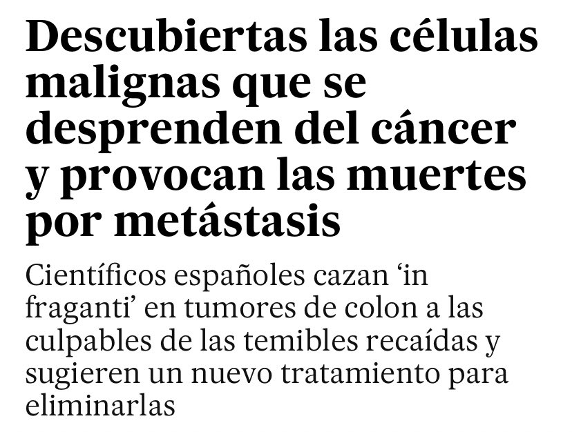 Fernando H. Valls 🗞️ tweet media