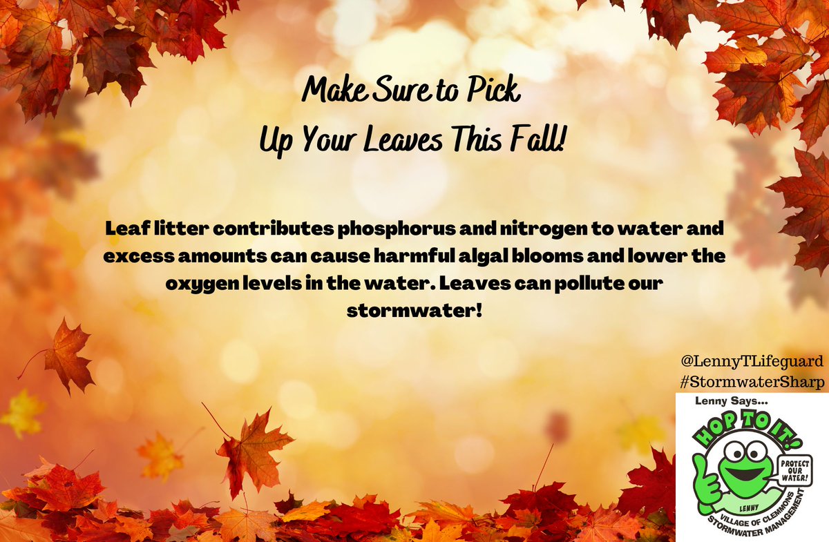 LennyTLifeguard's tweet photo. Stormwater Wednesday!
Leaves swept into the street can easily enter storm drains and make their way into the nearest waterways which can cause harmful nutrient accumulation. Please continue to keep excess leaves and yard debris out of the streets and waterways.
#StormwaterSharp https://t.co/LAsP6qPWj3