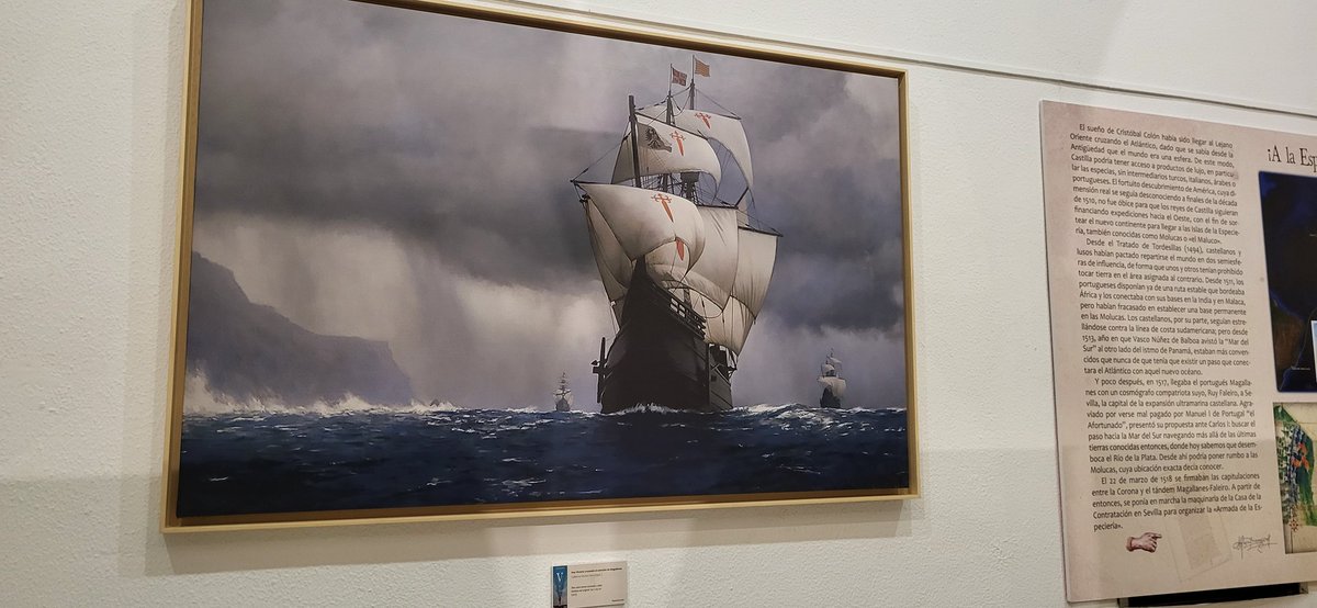 Alicia Almárcegui Elduayen tweet media