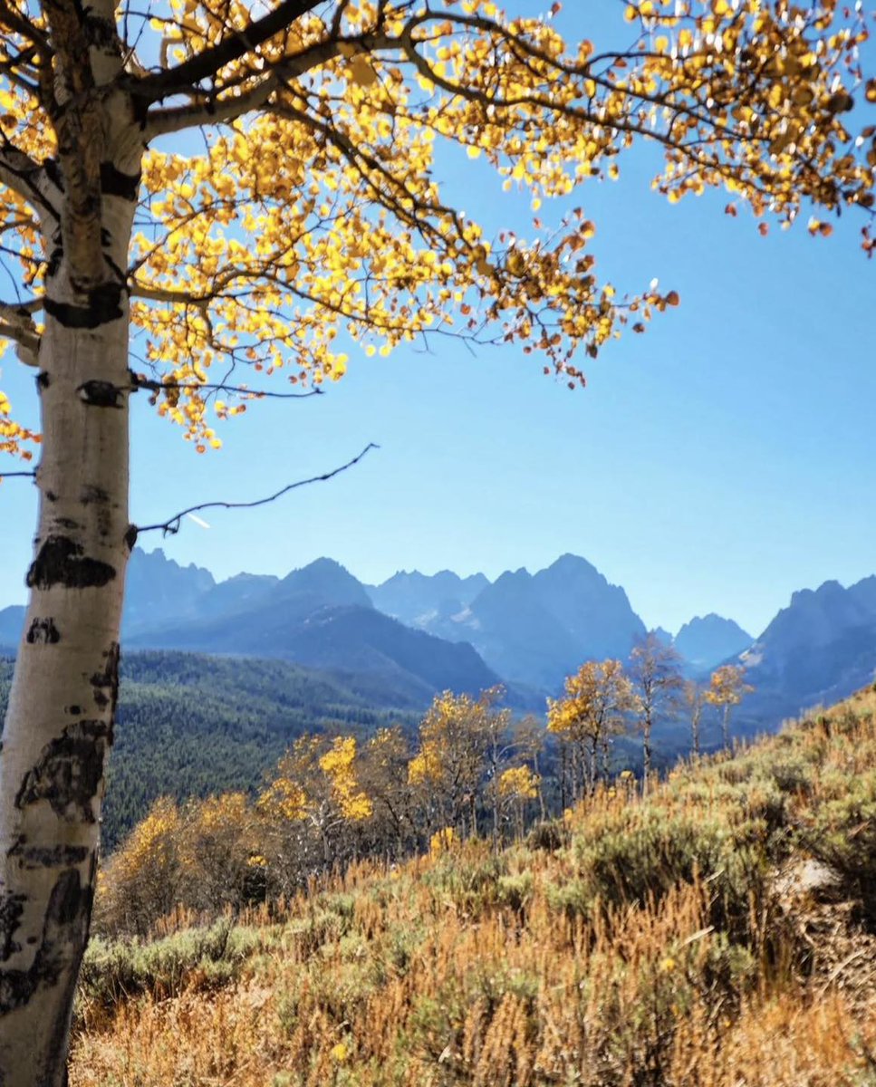 Enjoying the last colors of autumn before snow fall!

📸: lazerlady
#onlyinidaho #idaho #fall #autumn #hike #landscape