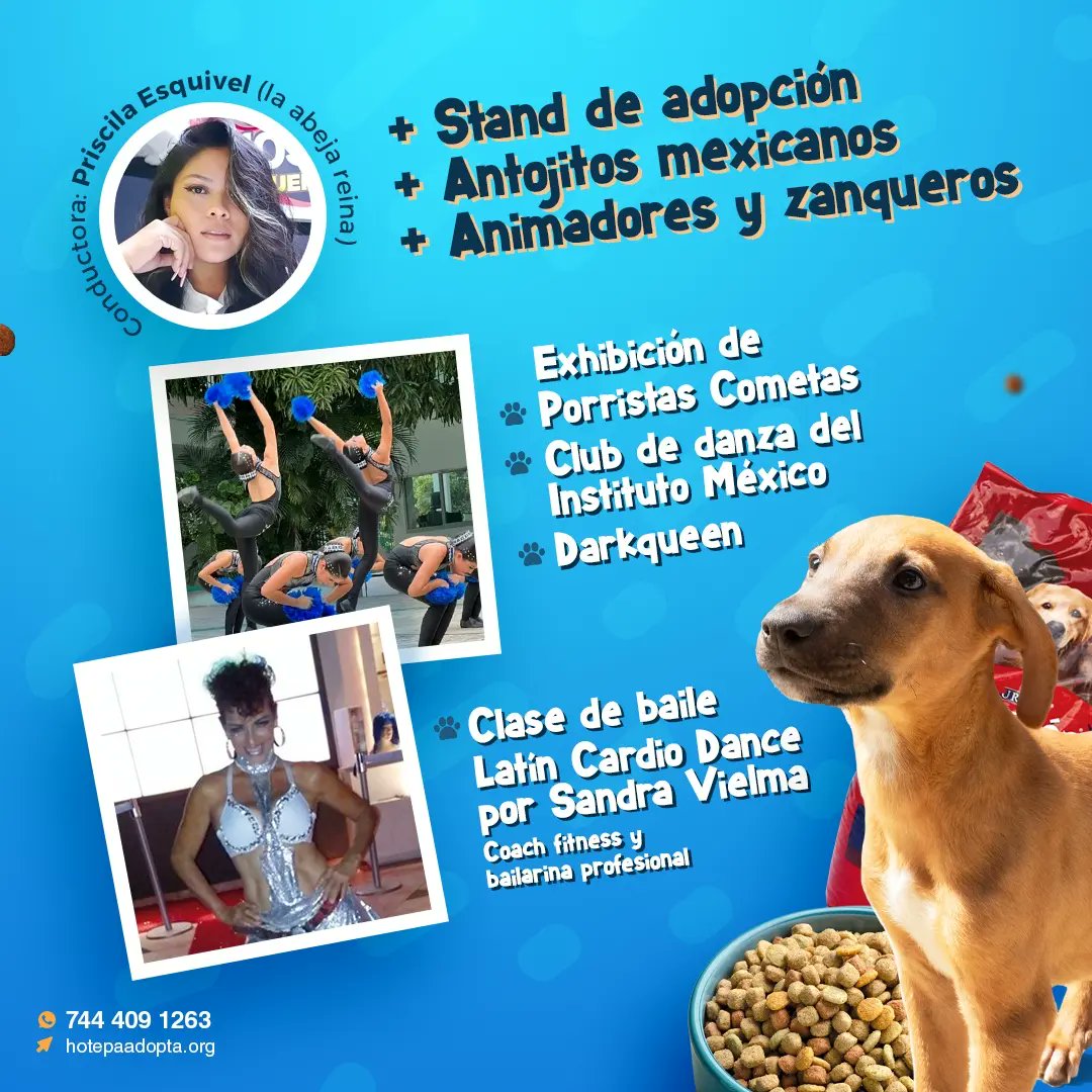 HotepaAdopta's tweet photo. Luce tus mejores pasos de baile o se parte de los patrocinadores en el CROQUETÓN 2022 - Bailando por los Hotepos. 👣🐾 en el parque de la reina
Consulta las bases del concurso aquí 7444091263 https://t.co/hXU9mFkdkb
#acapulco
#croqueton2022 #eventoconcausa #fiestaperruna https://t.co/56IZnIUYsR
