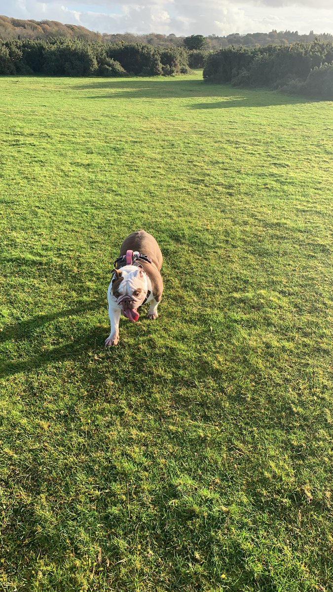 lazybaps's tweet photo. Enjoying AL and fresh air with my gorgeous girlie https://t.co/tsfanYrXBu