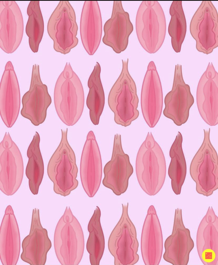 Conchita wurst porno