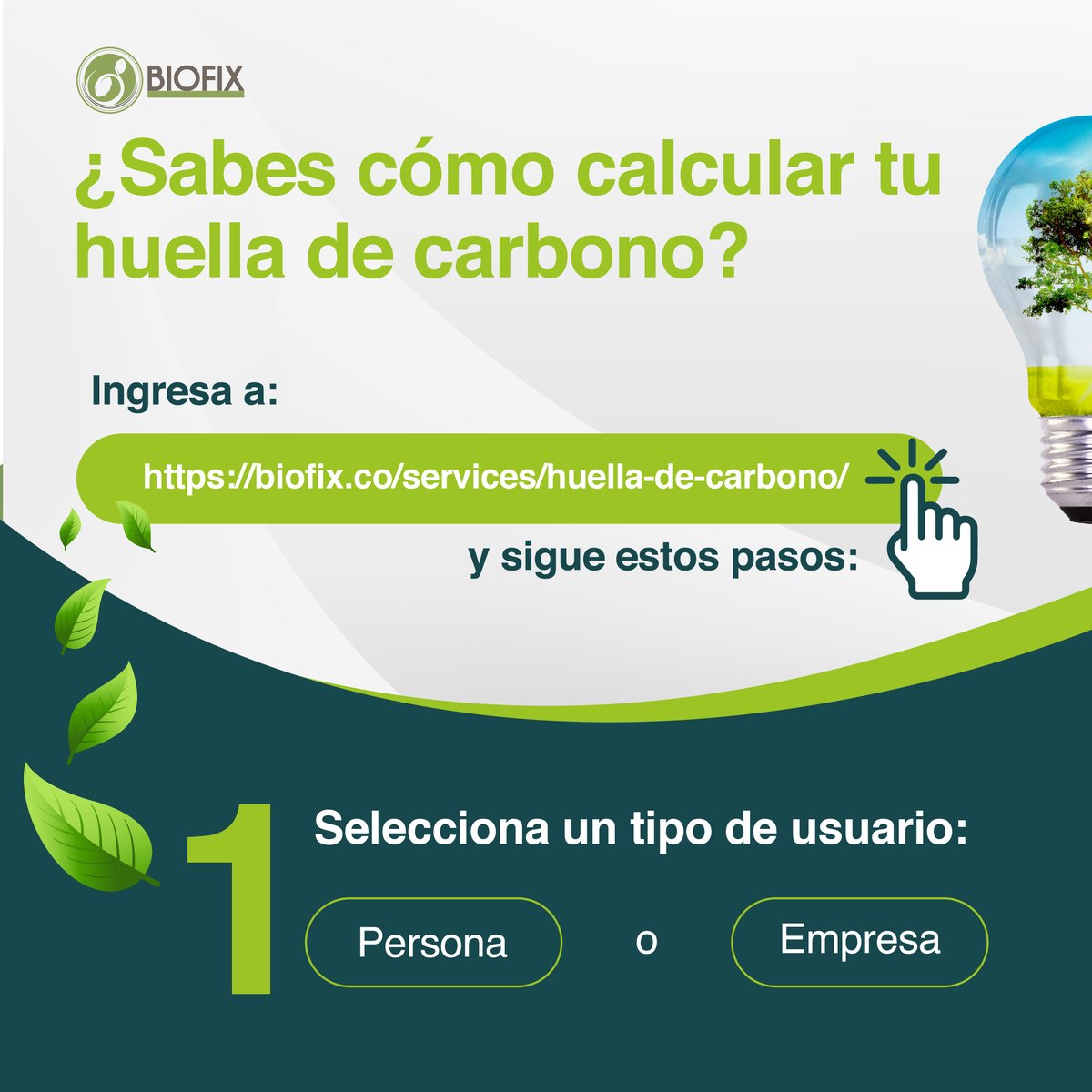 BIOFIX2's tweet image. En Biofix desarrollamos una herramienta digital que permite calcular la huella de carbono de las empresas de manera sencilla. Aquí te contamos los pasos que debes seguir para calcular tu huella de carbono. ➡️🌎
#gei #biofix #cambioclimatico #calentamientoglobal #huelladecarbono