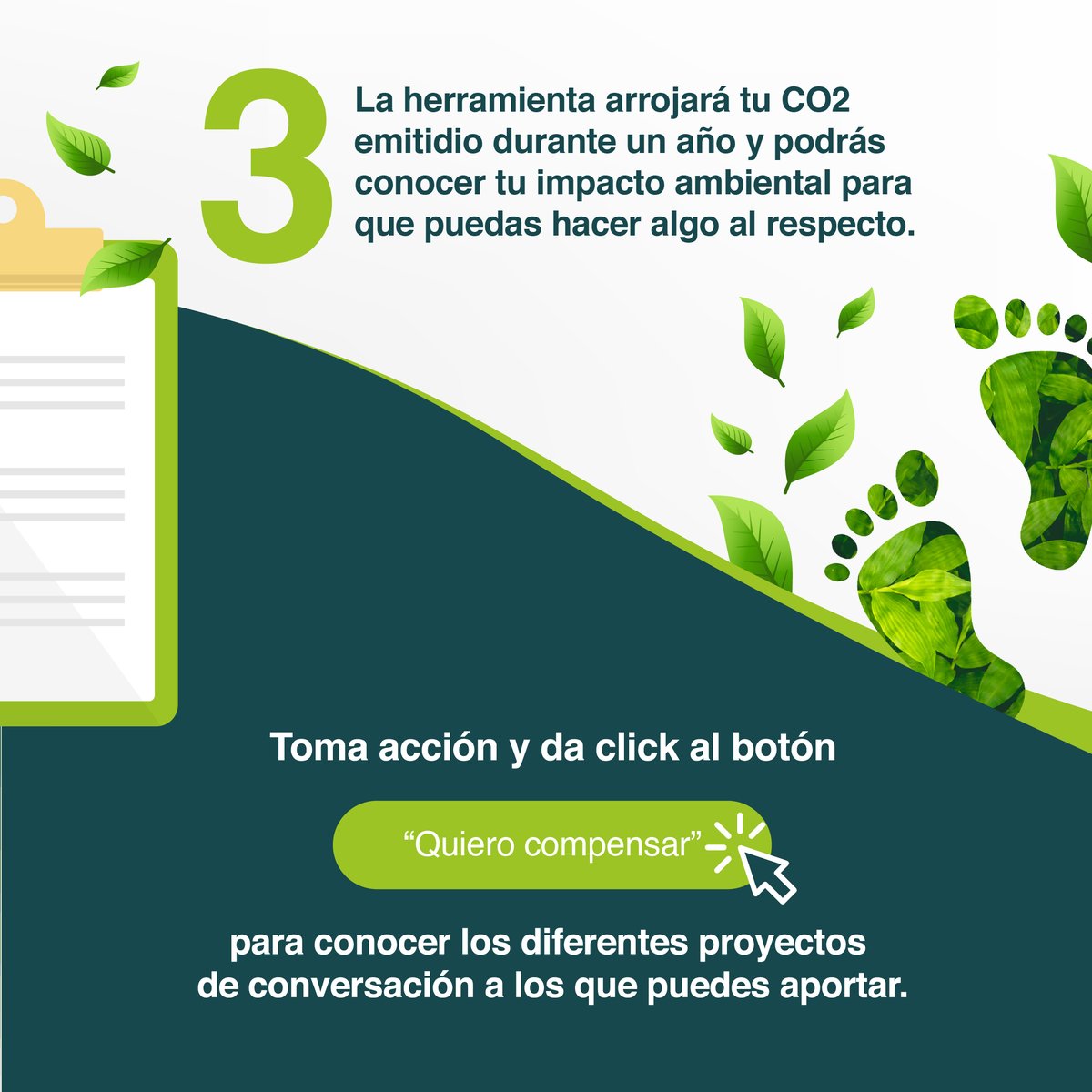 BIOFIX2's tweet image. En Biofix desarrollamos una herramienta digital que permite calcular la huella de carbono de las empresas de manera sencilla. Aquí te contamos los pasos que debes seguir para calcular tu huella de carbono. ➡️🌎
#gei #biofix #cambioclimatico #calentamientoglobal #huelladecarbono