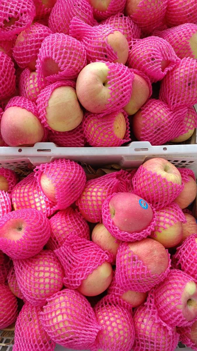 ferifk's tweet photo. Musim #buah #mangga https://t.co/zBgk1oYouz
