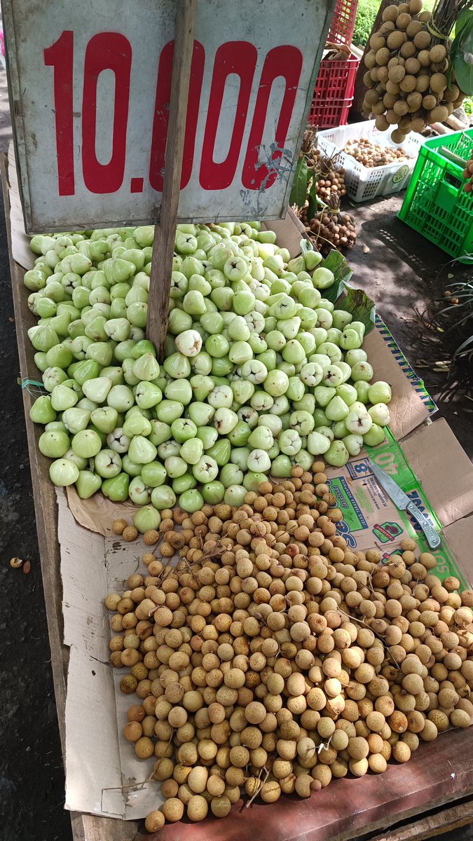 ferifk's tweet photo. Musim #buah #mangga https://t.co/zBgk1oYouz