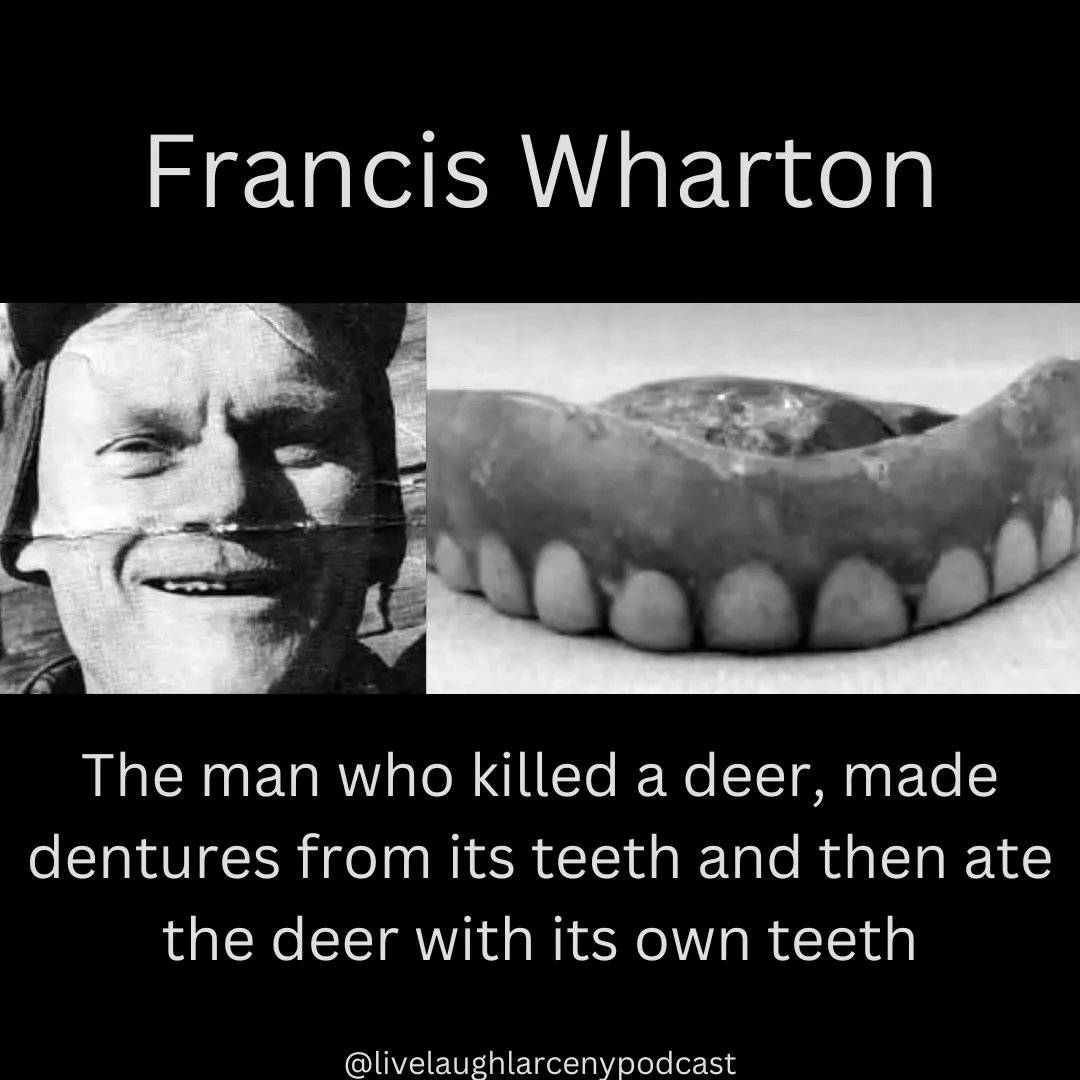 LiveLaughLarcen's tweet photo. 🚨EP 85: Petty Petty Oui-Oui!🚨
Amanda is sick this week, but don't worry. Kim from @TCRWVPodcast fills in. We each tell two stories and even discuss Francis Wharton, The Backwoods Wizard.
#denture #Dentist #PodcastAndChill #podcasts #truecrime #podcastrecommendation #atwwd https://t.co/YwcDi8sXAN