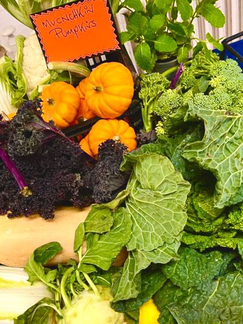 Massive thanks to Gary&amp; Tom from <a href="/_COUNTRYFRESH/">Country Fresh Foods</a> For presenting a lovely Winter vegetables tasting table at <a href="/ladybarnhouse/">Lady Barn House School</a>..🥬🌶️🎃Delicious Brussels sprout spring rolls&amp; Other goodies from the kitchen team! <a href="/PRhodes43/">Phil Rhodes</a> <a href="/Traceykeane123/">Tracey Keane</a>