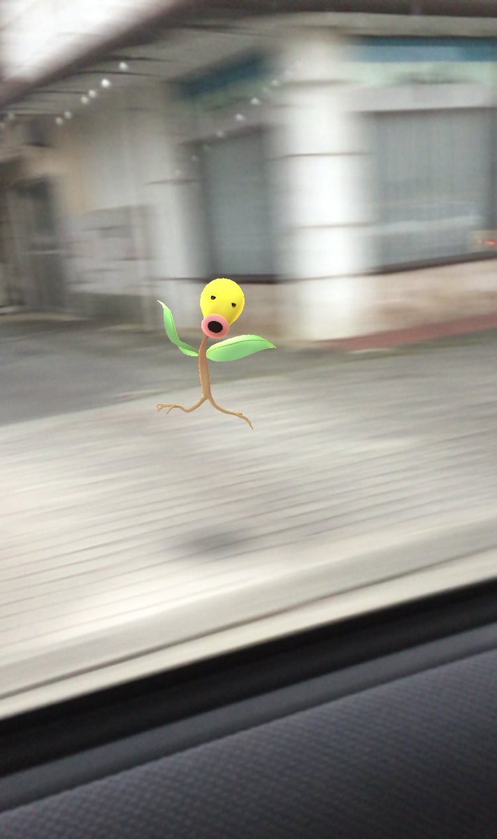 트친깅들아, 트위터가 없어진다는 이야기가 있다던데 이게 무슨 말이에요? 그럼 님들 어디서 여추반 이야기 하실건데요🥹❔저 좀 주워가세요. 듣기만 할게요. 보기만할게요… band에 급식창고같이 만들어서 여추반 이야기 해야하면 그렇게 하고요,,,🥹 저 좀 같이 이사가욥,,
