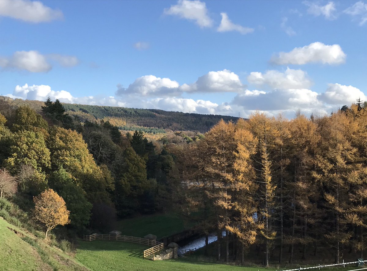 lorripops's tweet photo. Autumn colours 🍃🍁🍂 #MoreHall #WharncliffeCrags #Sheffield https://t.co/wU9WsN0Nw6