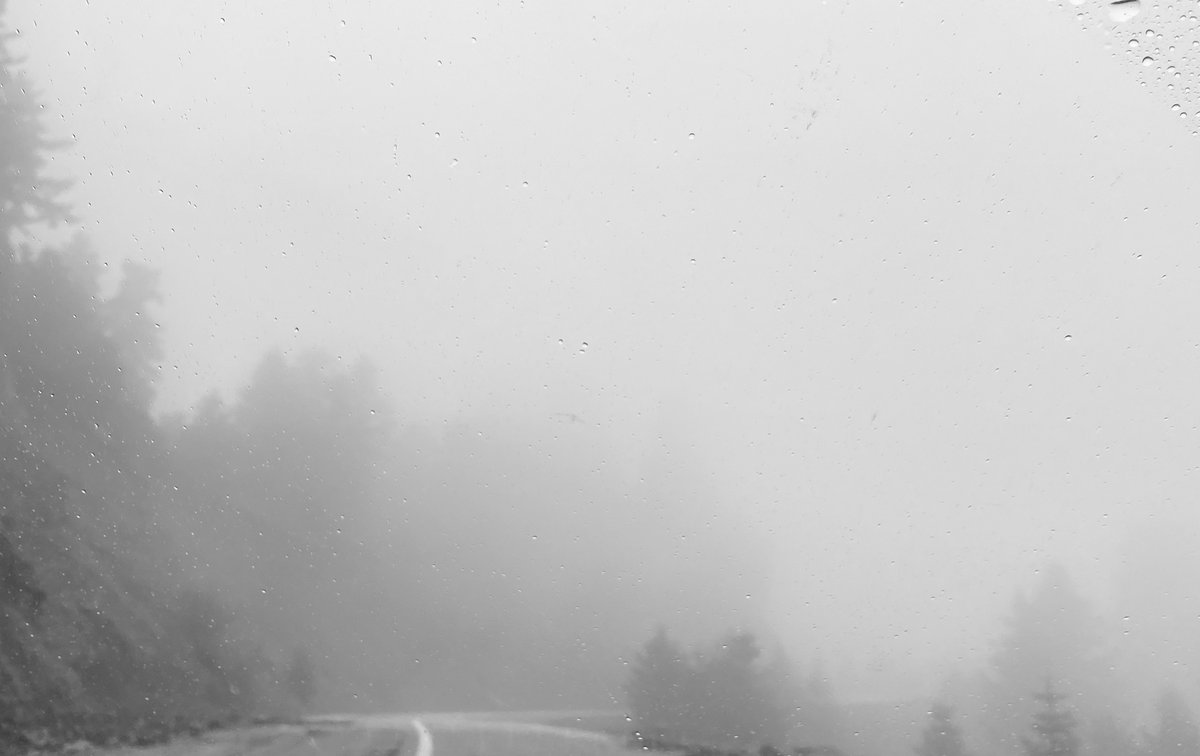 Murmurations Journal tweet media